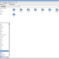 spacefm_oneiric_00.png