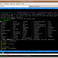 irssi.png