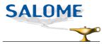 Logo de Salomo 3.2.6 Logo de Salomo 3.2.6