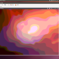 vnc_trusty.png