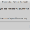 blueman6-_xenial.png