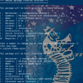 checkinstall2.png