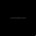 crunchbang-desktop.png