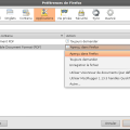 firefox_gestion_pdf.png