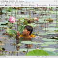 gwenview-snapshot.png