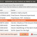 gzdoom_choixiwad.png