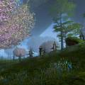 landscapes_06.jpg