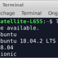 lsb_release.png