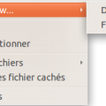 pcmanfm_contxtmenu_new.png