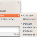 pcmanfm_contxtmenu_trier.png