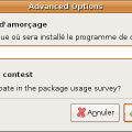 advanced-options.png