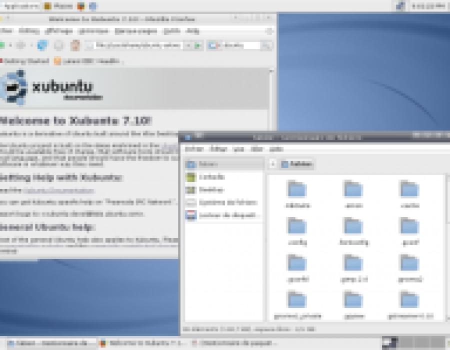 ubuntu_distribution-gutsy-2.png