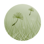 logo_ooolight_large.png