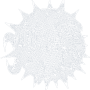 openbsd.png