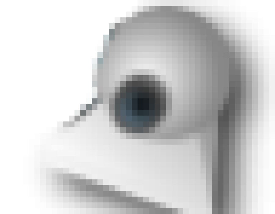 webcam.png