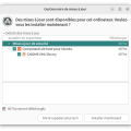gestionmaj_resolute.png