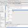 capture_lazarus_gtk_2.png