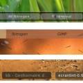 ecran_tint06.jpg
