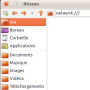 pcmanfm_network.png
