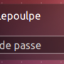 lightdm-selectionenvironnement1.png