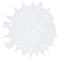 openbsd.png