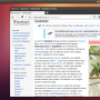 quantalquetzal-bureau.png