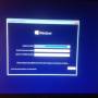 windows1.jpg